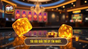 Tài Xỉu Giải Trí Miễn Phí
